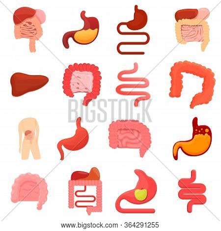 Digestion Icons Set. Cartoon Set Of Digestion Vector Icons For Web Design
