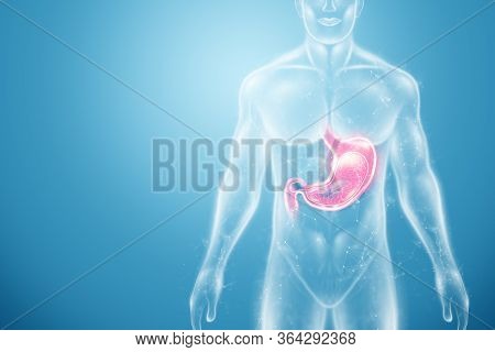 Hologram Of The Stomach, Endoscopy Procedure. Digestive Tract And Stomach Disease Concept. 3D Render