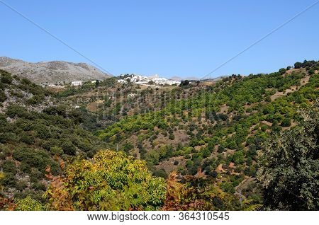 View Of Whitewashed Village (pueblo Blanco) And Surrounding Countryside, Cartajima, Serrania De Rond