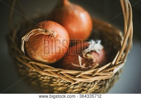 Three Large Ripe Onions Lie In A Small Wicker Basket With An Elegant Handle. Harvest From The Garden