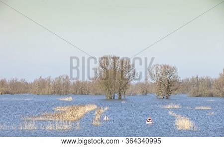 Yellow Reeds And Forest In Floodplanes Of River Waal In Holland With Traffic Signs Just Above The Wa