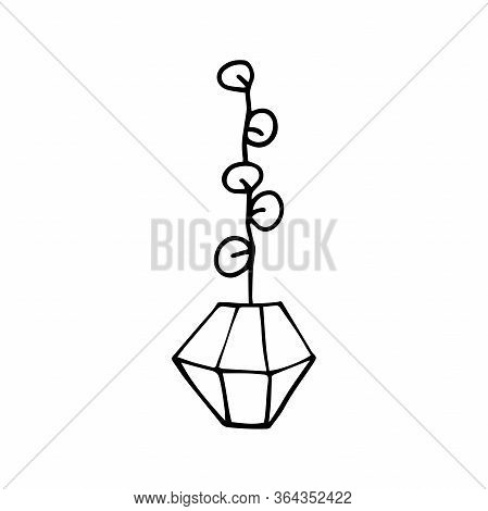 Doodle Eucalyptus In A Faceted Pot. Hand-drawn Leaves With Poly Flower Pot. Black Outline Of A Home 