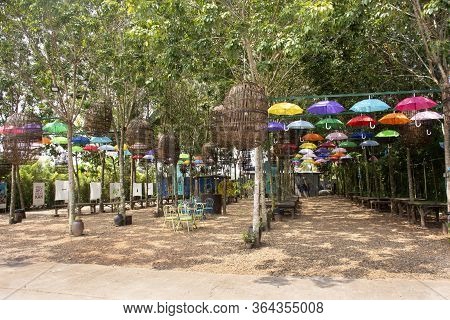 Bueng Kan, Thailand - October 3 : Colorful Umbrella Hang On Tree Outdoor At Garden For Traveler Peop