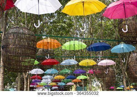 Bueng Kan, Thailand - October 3 : Colorful Umbrella Hang On Tree Outdoor At Garden For Traveler Peop