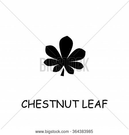 Chestnut Leaf Flat Vector Icon. Hand Drawn Style Design Illustrations.