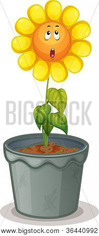 ภาพประกอบของดอกไม้ในหม้อ