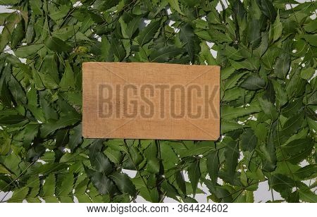 Neem Leaves Or Azadirachta Indica Leaves With  Black Copy Space Wooden Board