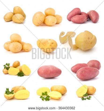 potato isolated on white background. Set of different composition of potatoes.