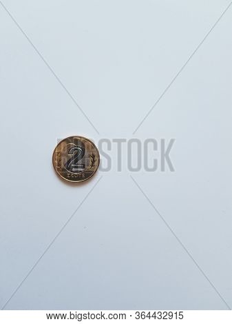 Coins, Money, Zloty On White. Background With Copyspace
