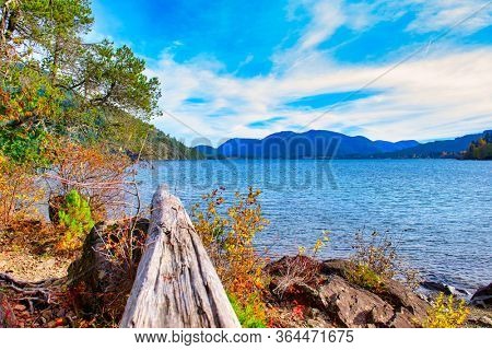 View of Gordon Bay Park in Cowichan Lake during the fall, taken on Vancouver Island, canada