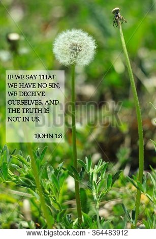 Bible Quotes On On Dandelion Flowers Background.card With Text Sign For Believers. Inspirational Ver