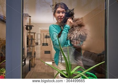 Woman With Cat Stay At Home, Selfisolation To Prevent Spread Infection. Quarantine. Preventive Measu