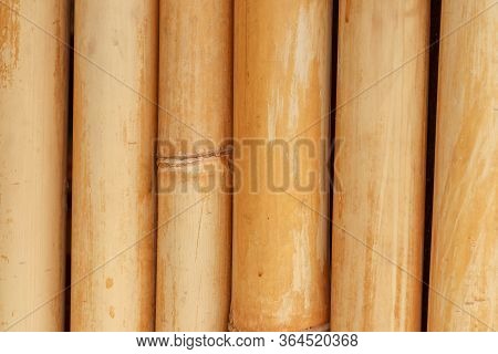 Yellow Bamboo Fence Background. Bamboo Texture With Natural Patterns. Wall Made Of Babus Trunks Text