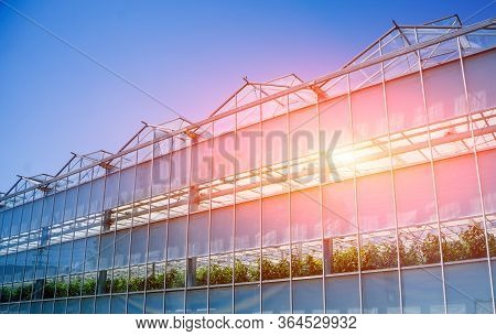Modern Glass Greenhouses Against The Blue Sky.