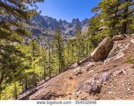 Walking Track In Asco River Gorge With View On Cinto Mountain In Haute Corse On Corsica Island, Fran