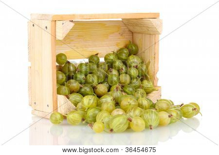 Grüne Stachelbeere in Kiste, isolated on white
