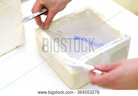 Clinic Of Reproductive Medicine. Artificial Insemination. Clinic Of Artificial Conception. Sperm Fre