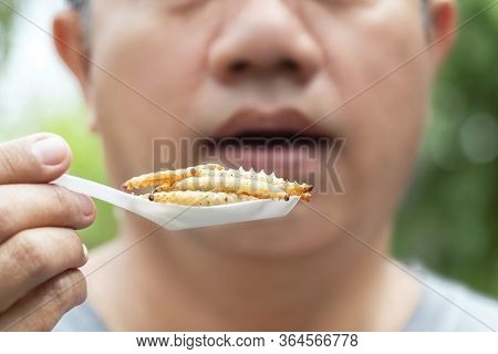 Food Insects: Man Eating Bamboo Worm Insect On Spoon. Bamboo Caterpillar Is Good Source Of Protein E