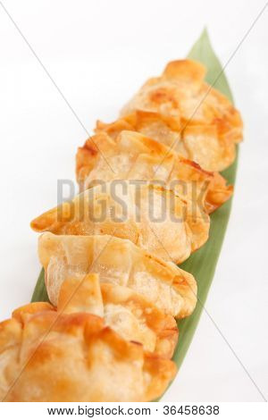 Plade af potstickers