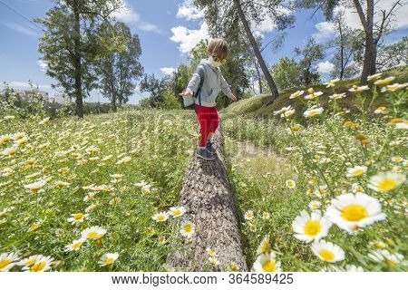 Little Boy Walking On A Log In The Middle Of Daisy Field. He Wears A Face Mask And Sun-glasses