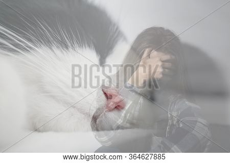 Woman Suffering From Ailurophobia On White Background. Irrational Fear Of Cats