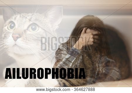 Woman Suffering From Ailurophobia. Irrational Fear Of Cats