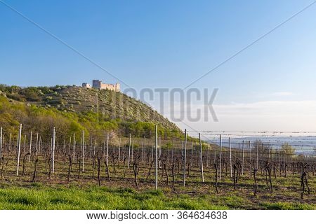 Spring landscape near Pavlov with Devicky ruins in Palava, Southern Moravia, Czech Republic