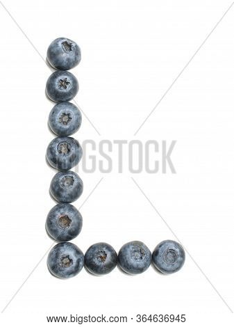 Alphabet Letter L Arranged From Northern Highbush Blueberry Isolated
