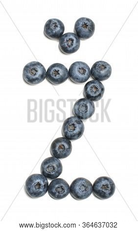 Lithuanian Letter ž Arranged From Northern Highbush Blueberry Isolated