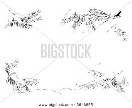Neve