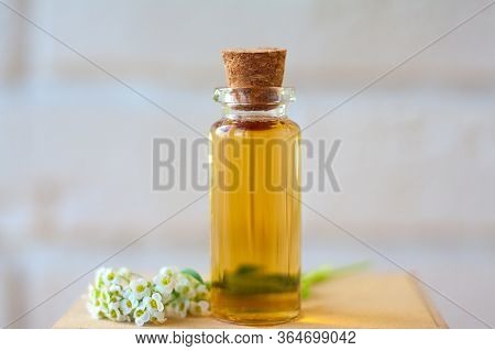 Alissum Essential Oil In A Beautiful Bottle On The Table