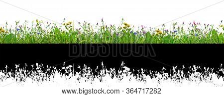 Purple Clover Flowers And Grass Isolated On White Background With Alpha Mask For Easy Isolation