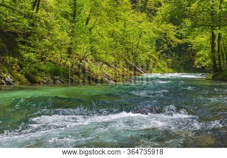 Fast Clear Waters Of Radovna River In Vintgar Gorge Canyon Near Bled, Julian Alps, Slovenia.