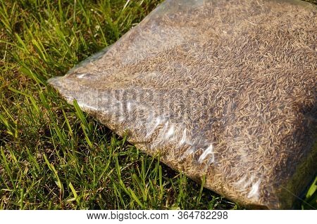 Sowing Grass, Setting Up A Lawn. Foil Packaging With Grass Seeds.
