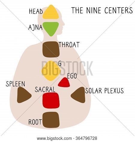 Nine Energy Centers. Human Design Chart. Head, Ajna, Throat, Ego, Solar Plexus, Sacral Root Spleen G