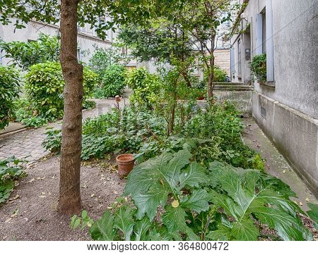 Charming Flower Quarter With Apartment Building In Paris, Rue Des Thermopyles, 14 Arrondisement. Fra