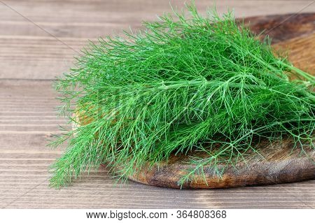 Fresh Green Dill On The Wooden Background. Healthy Herbal Condiment Dill.