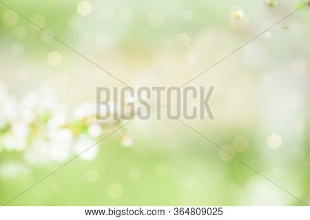 Yellow Green Pink Blur Bokeh Background. Spring Flowers Defocus. Spring Summer Card. Summer Flowers.
