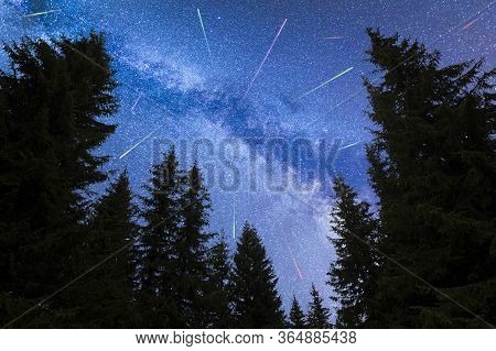 A View Of The Stars Of The Blue Milky Way With Pine Trees Forest Silhouette In The Foreground. Night