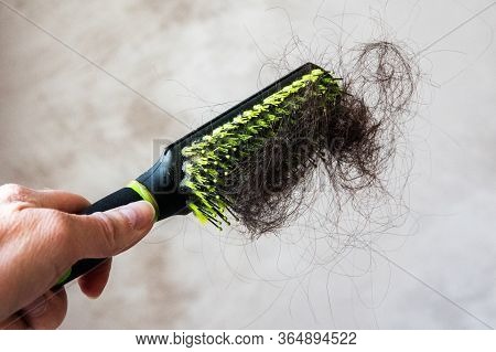 A Closeup View Of A Female Hand Holds A Clump Of Brunette Hair Stuck To A Brush. Brittle Sick Hair, 