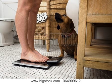 Female On Weight Scale With Dog Staring At Her
