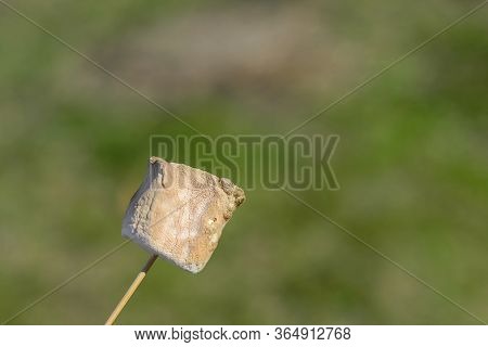 One Piece Of Sweet Toasted Marshmallows On A Background Of Green Grass Outdoors
