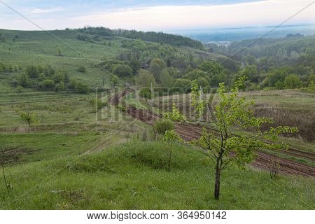 Beautiful Colorful Hills Covered Forest In Fog. Winding Dirt Road Winds Through The Green Hills. Ukr