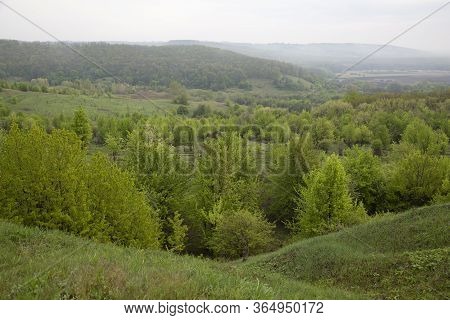 Summer Rural Landscape. Beautiful Colorful Hills Covered Forest In Fog. Ukrainian Nature. Surroundin