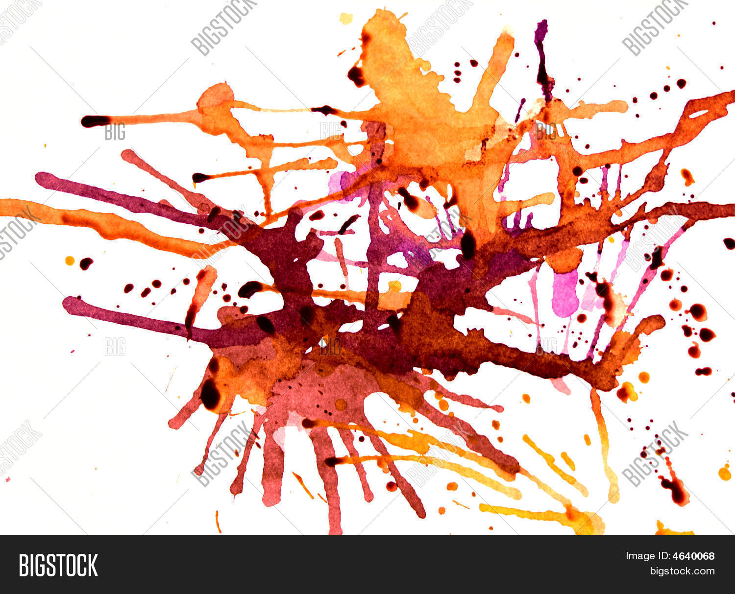 Image Preview
