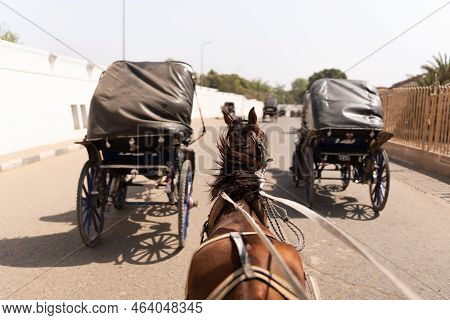 Horse Carriage In A Road Of Edfu City