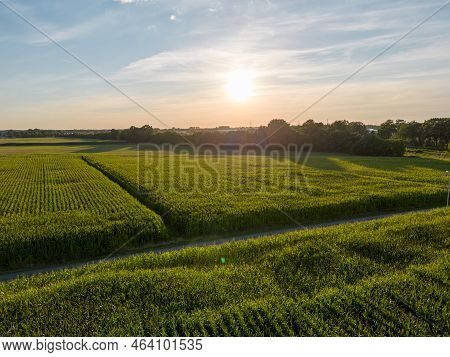 Land Or Landscape Of Green Field In Aerial View. Include Agriculture Farm, House Building, Village. 