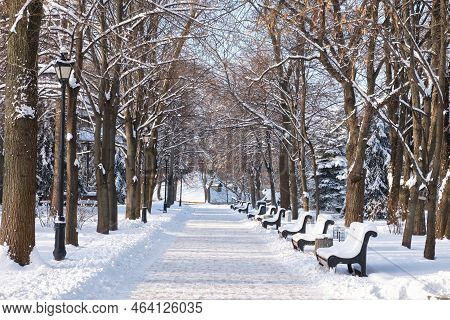 Bench In The Park In The Snow
