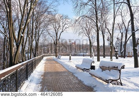 Snow Covered Bench In A Park