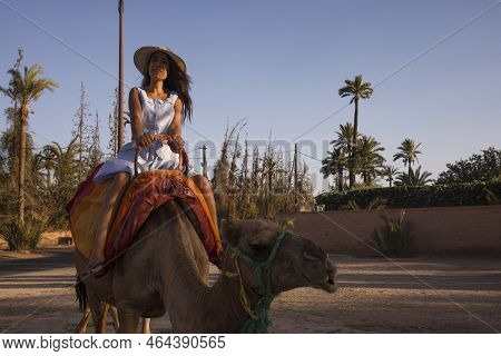 Sexy Tourist With Hat On A Camel Or Dromedary In The Desert Of The Palm Grove Of Marrakech In Morocc